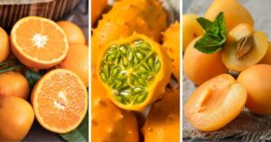 Orange Foods: Kiwano Horned Melons, Orange and Apricots