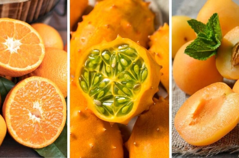 30 Orange Foods (Fruits and Vegetables)