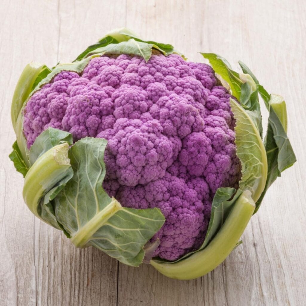 Purple Broccoli