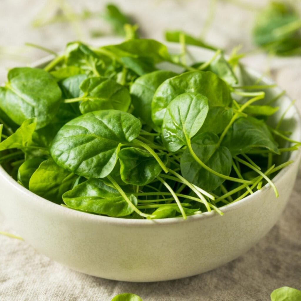 Watercress Leaves on a Bowl
