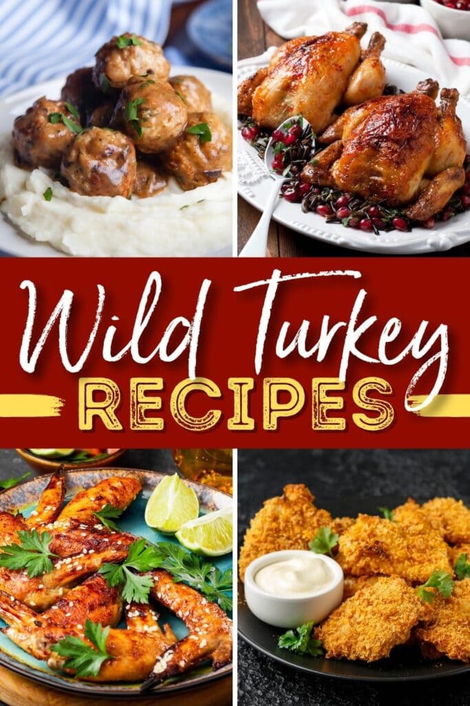Wild Turkey Recipes