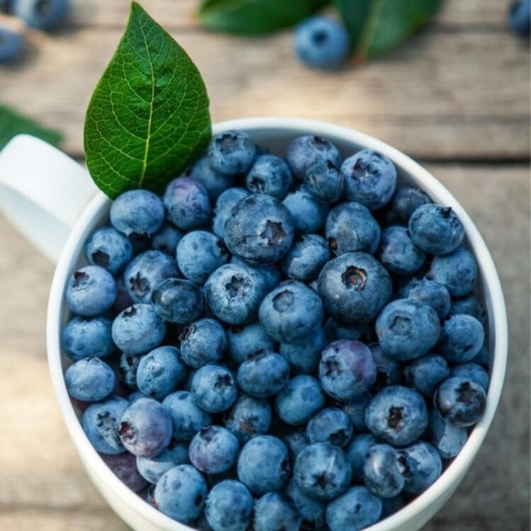 20 Naturally Blue Fruits Foods List Insanely Good