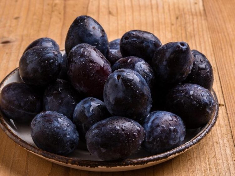 22 Types of Plums (Different Varieties) Insanely Good