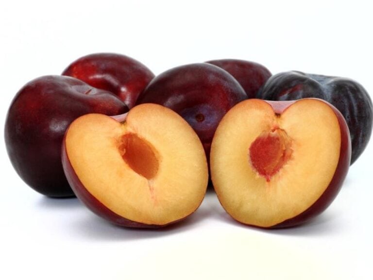 22 Types of Plums (Different Varieties) Insanely Good