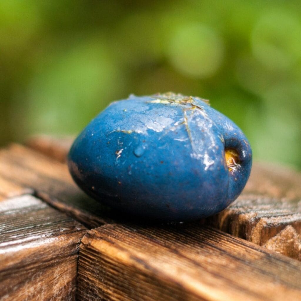 A Piece of Blue Marble Fruit