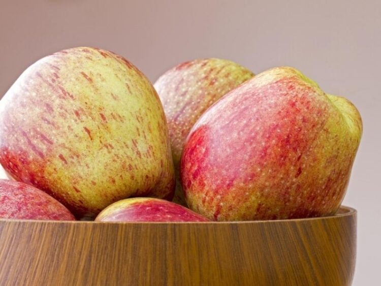 25 Common Types of Apples (Different Varieties) Insanely Good