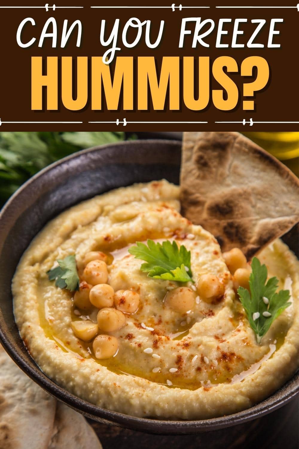 Can You Freeze Hummus Bean Dip at Jessie Barham blog