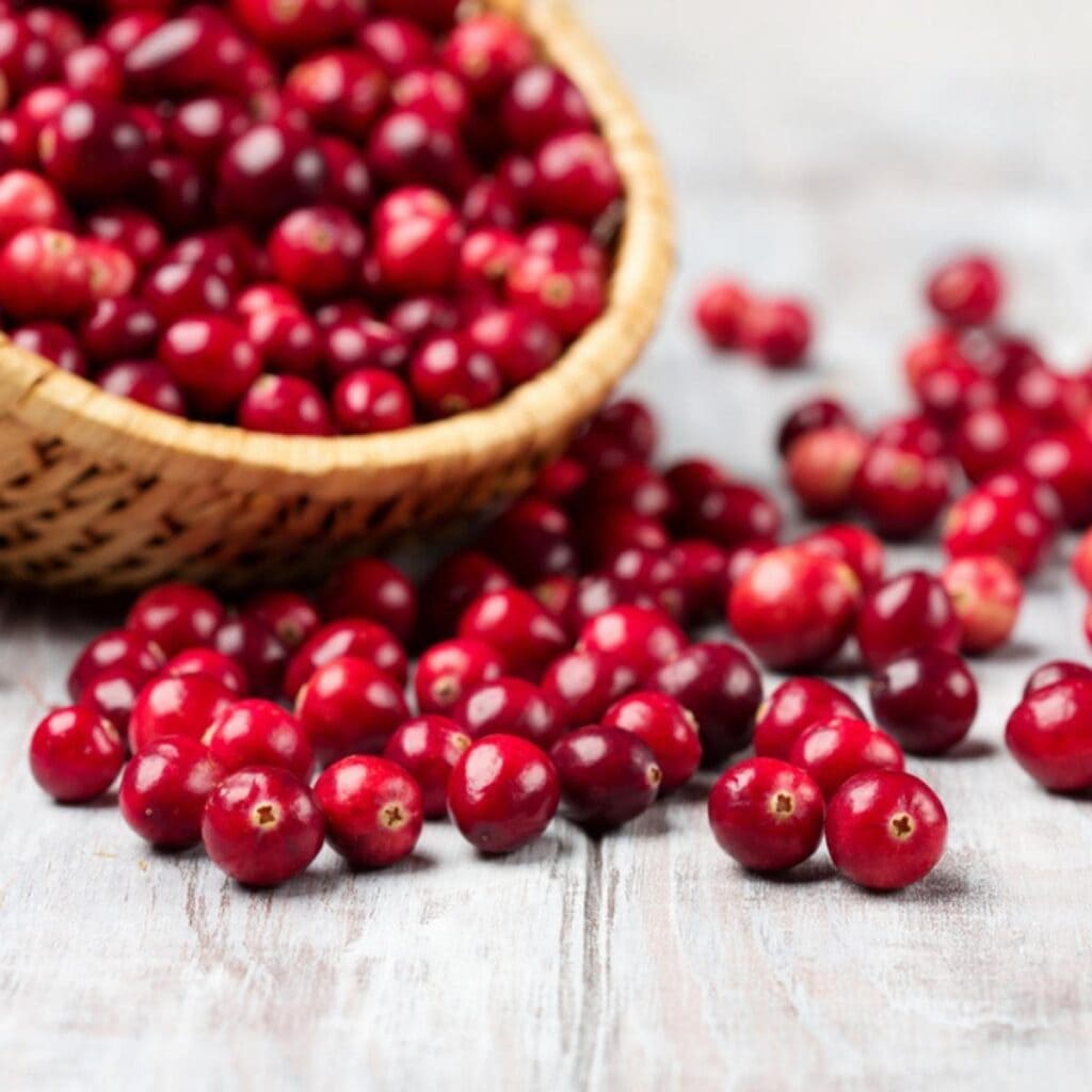 Basket of Fresh Cranberries Spilling on the Table
