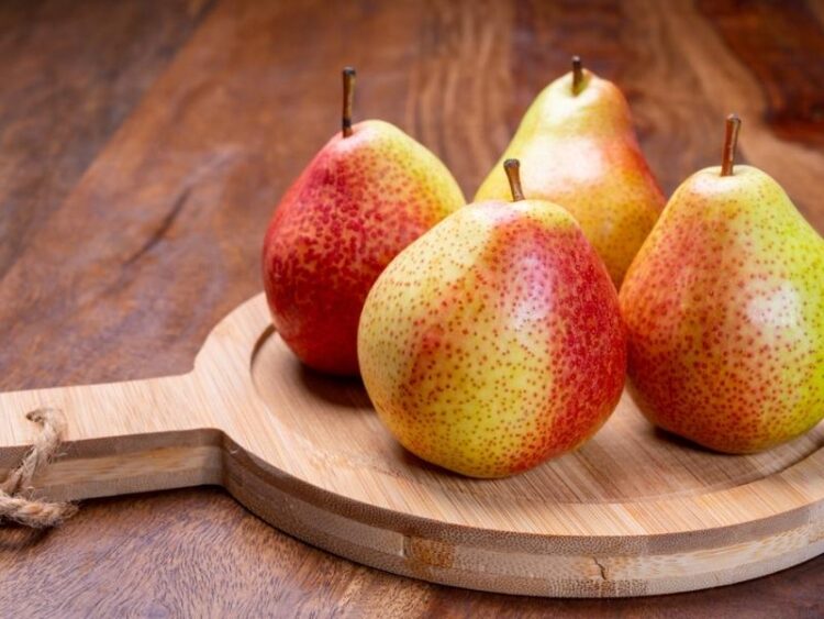 17 Types Of Pears Different Varieties Insanely Good 