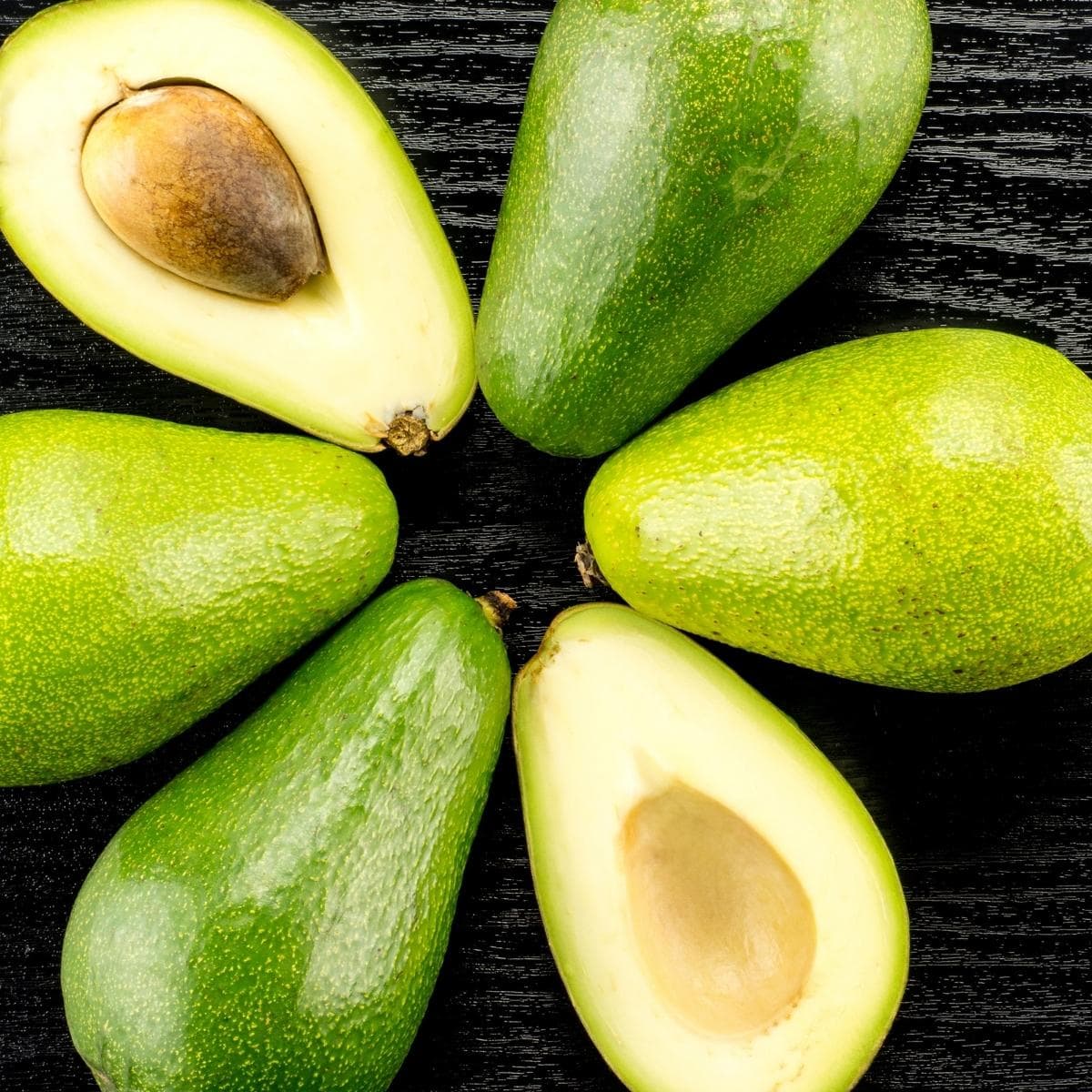 17 Types Of Avocados Different Varieties Insanely Good 