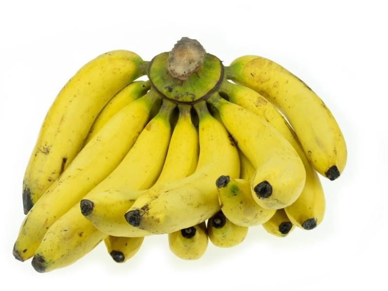 Gros Michel Bananas