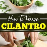 How to Freeze Cilantro