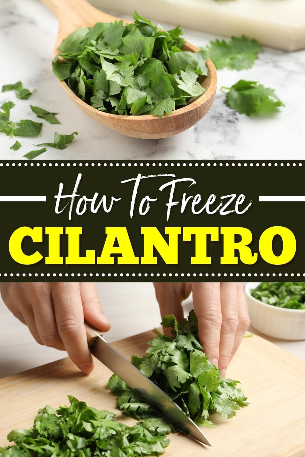How To Freeze Cilantro (2 Easy Methods) Insanely Good