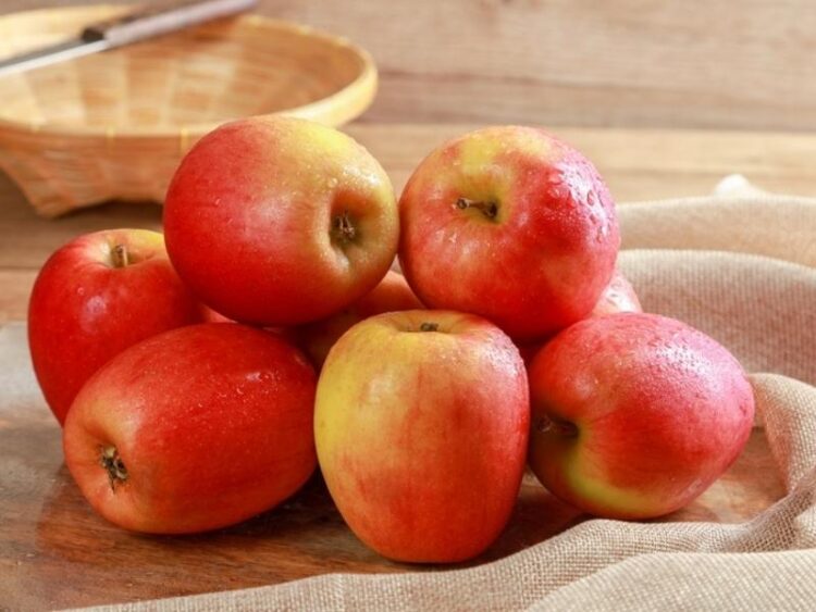 25 Common Types of Apples (Different Varieties) Insanely Good