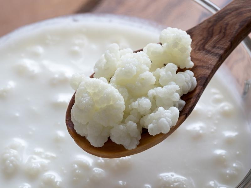 Kefir Grains Scooped By a Wooden Spoon From a Glass Jar