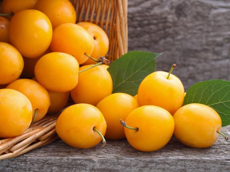Bunch of Lemon Plums From Basket