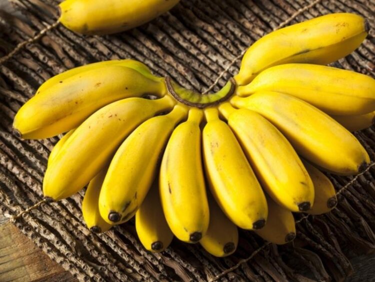 17 Types of Bananas (Different Varieties) Insanely Good