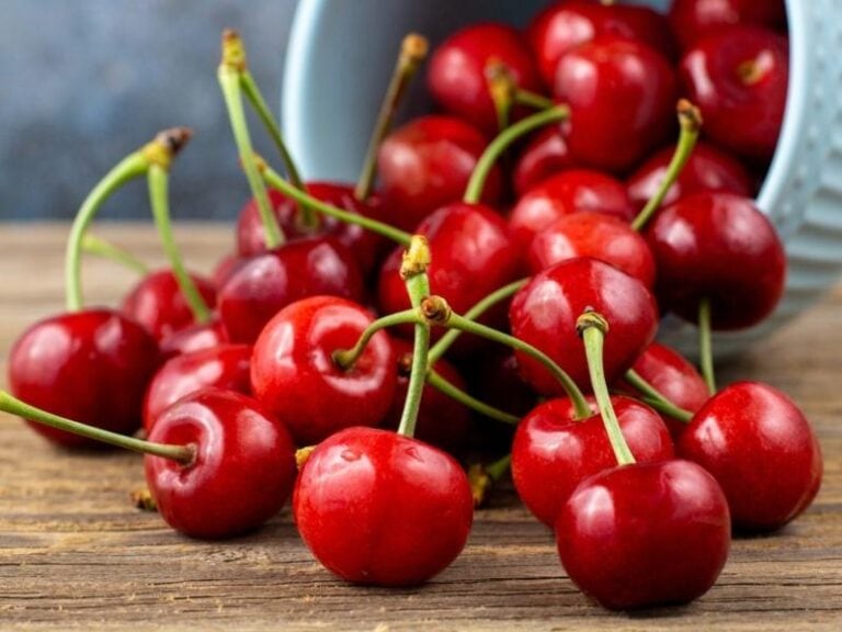 25 Different Types of Cherries (+ Tasty Varieties) - Insanely Good