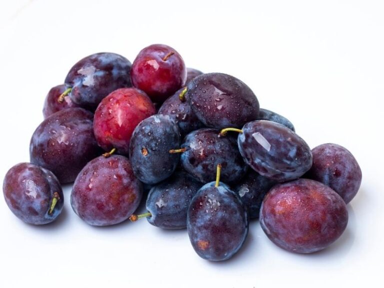 22 Types of Plums (Different Varieties) - Insanely Good