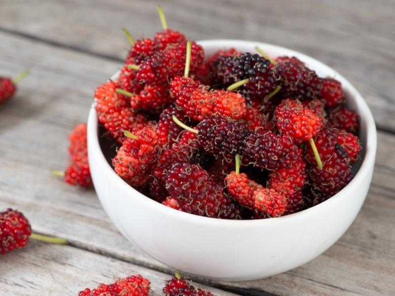Small Bowl of Red Mulberries