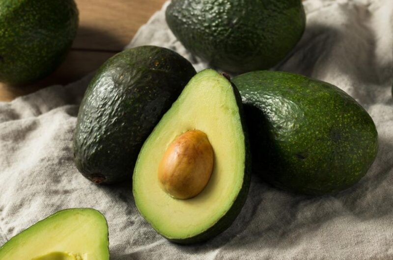 17 Types of Avocados (Different Varieties)