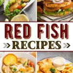 Redfish Recipes