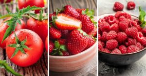 Red Fruits: Tomatoes, Strawberries and Raspberries
