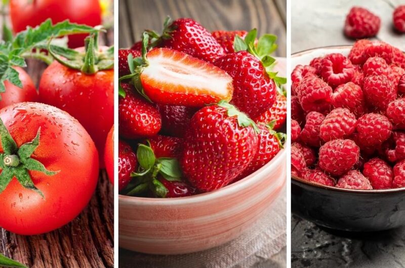 25 Best Red Fruits To Add to Your Diet