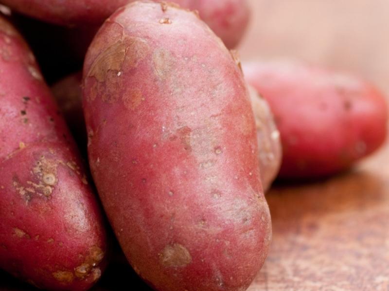 Red Thumb Potatoes