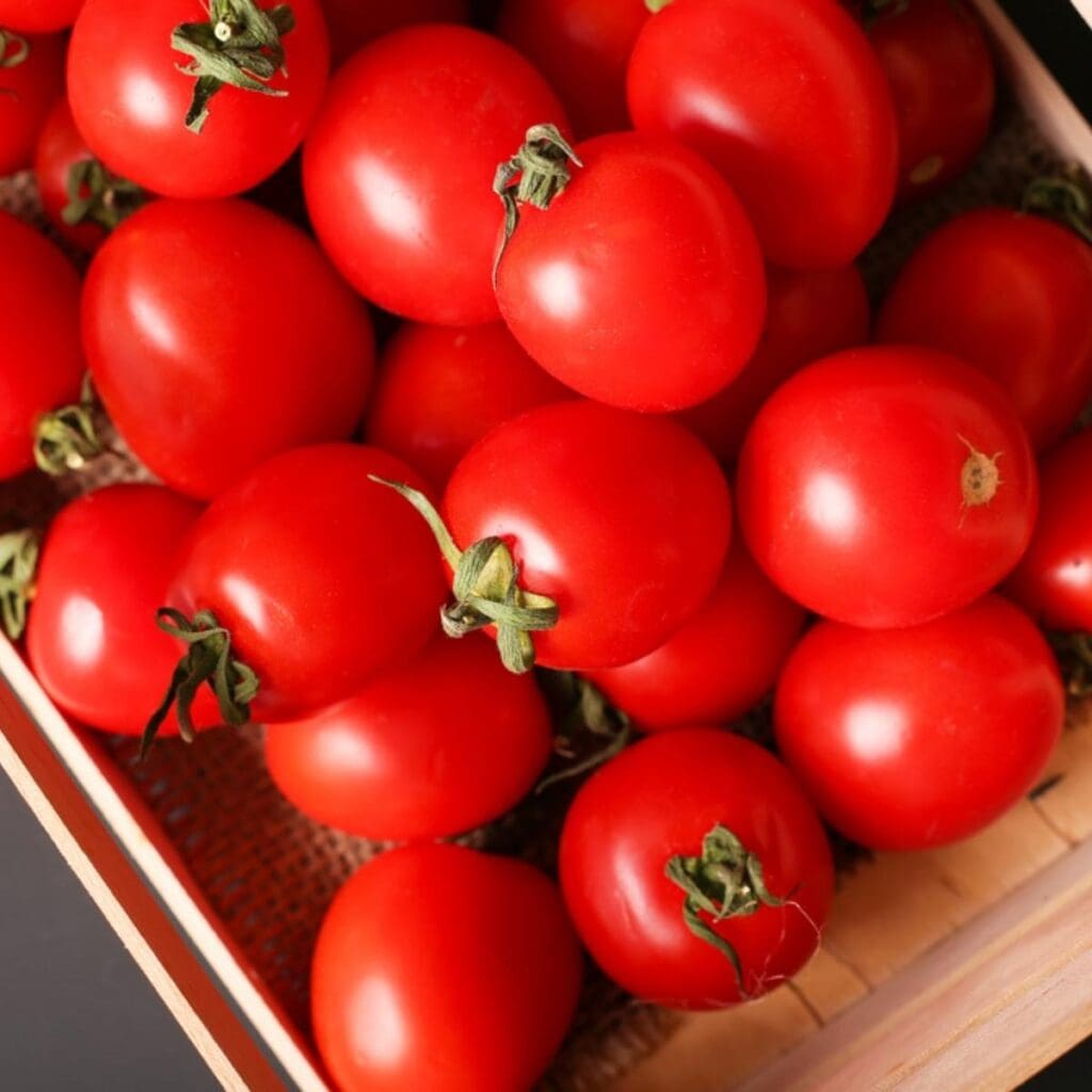 Basket of Fresh Red Tomatoes