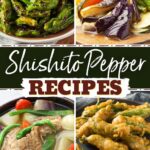Shishito Chili Recipes