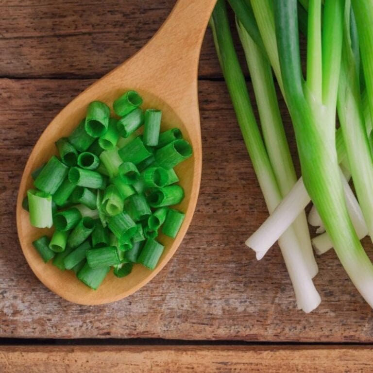 10 Best Green Onion Substitutes to Use in Your Meals - Insanely Good