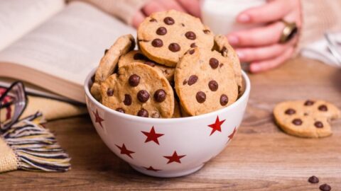 Sweet Homemade Chocolate Chip Icebox Cookies