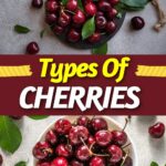 Types of Cherries