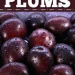 Types of Plums
