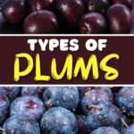 Types of Plums