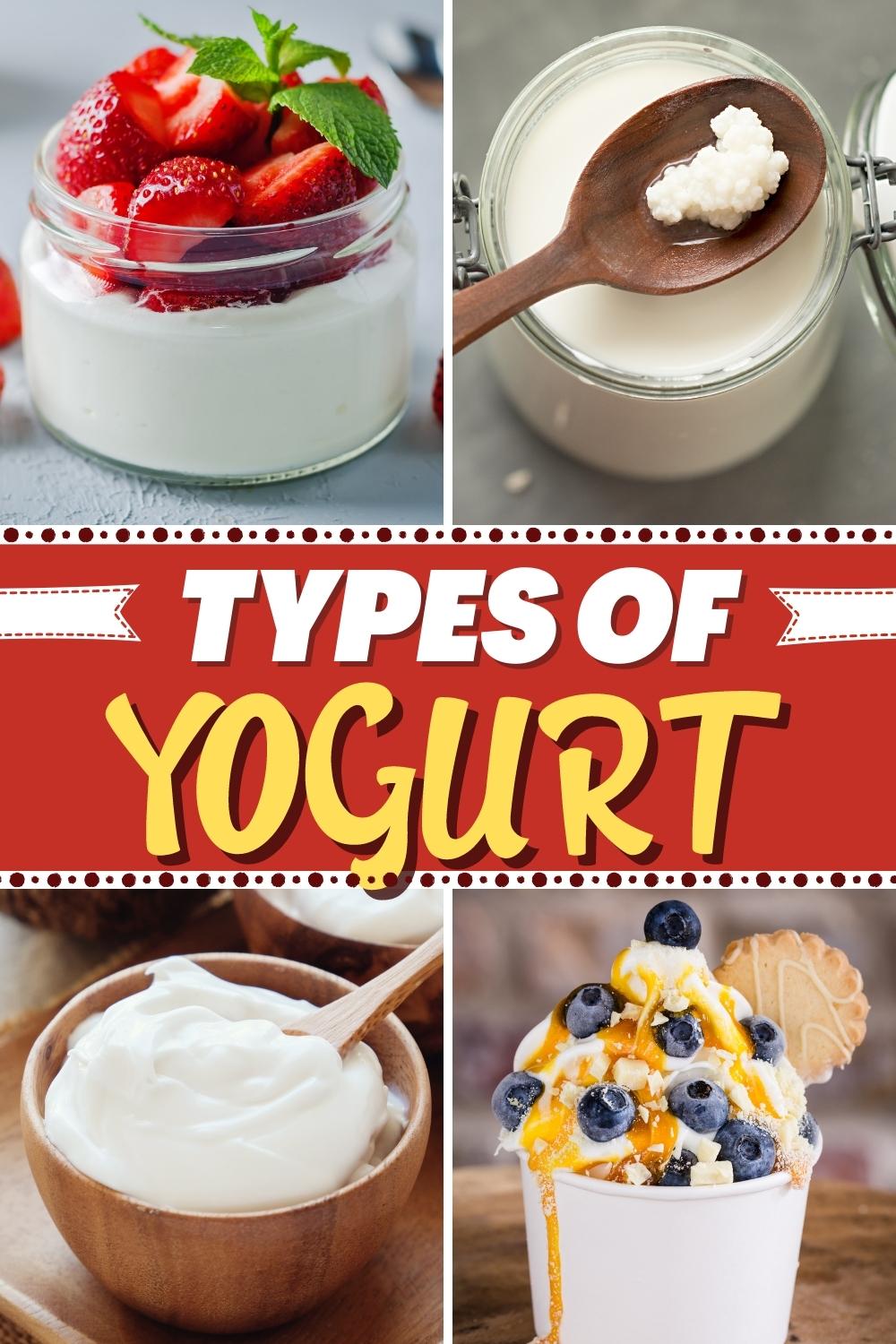 13 Best Types of Yogurt (Different Kinds) Insanely Good