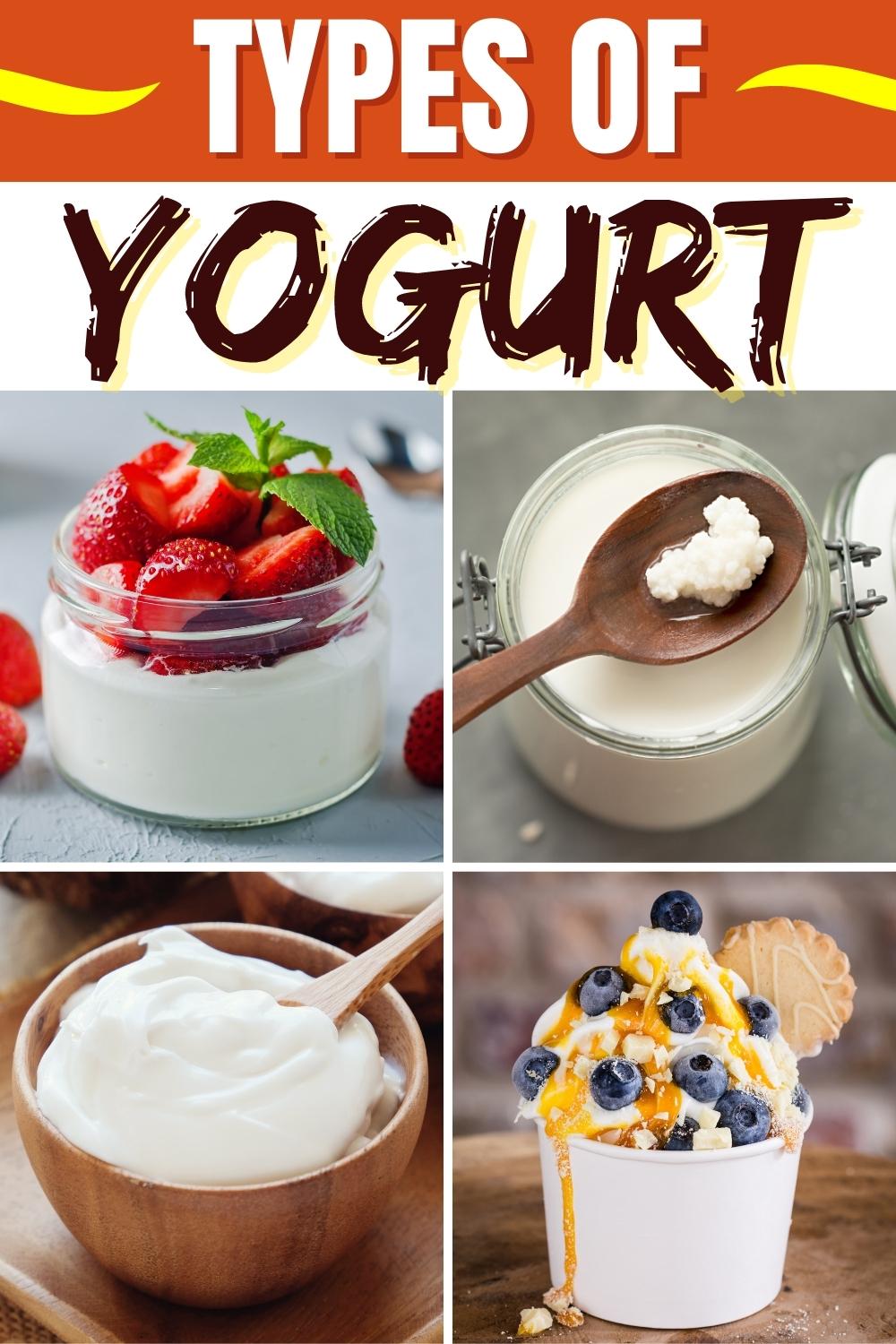 13 Best Types of Yogurt (Different Kinds) Insanely Good