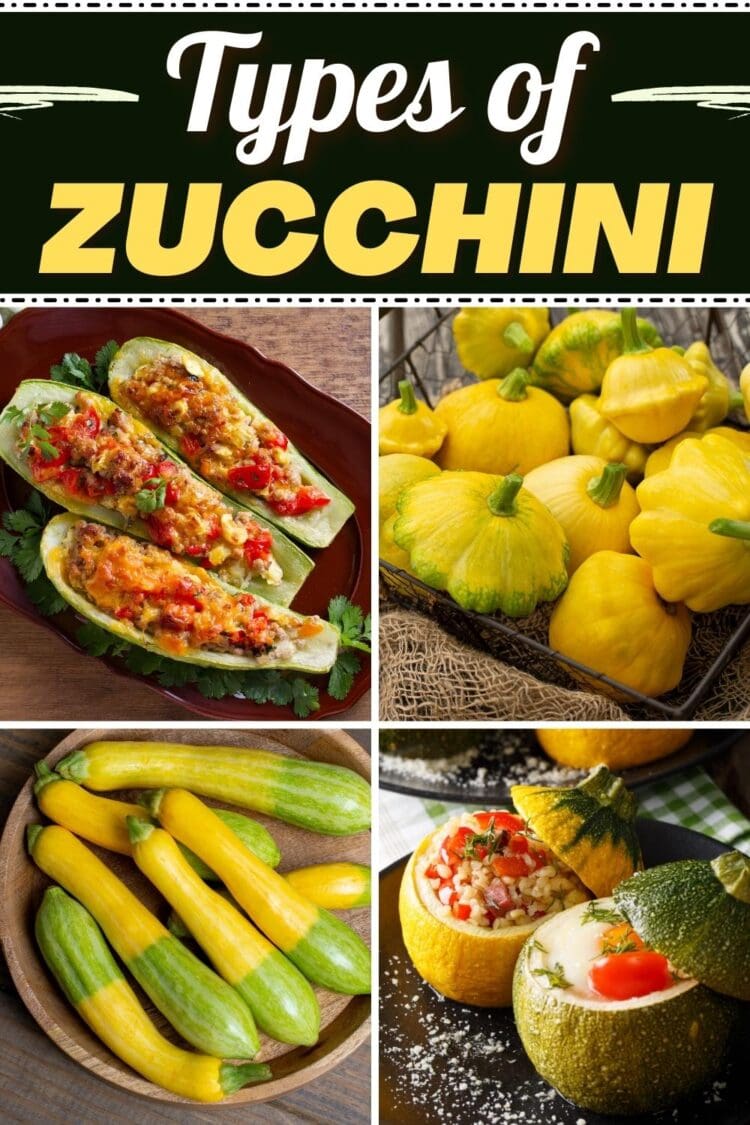 15 Types of Zucchini (Different Varieties) - Insanely Good