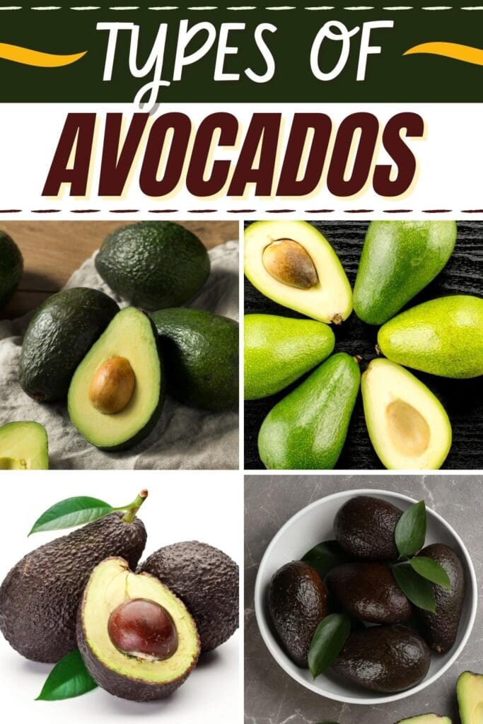 Types of Avocados