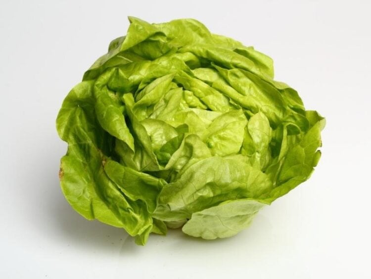 20 Different Types of Lettuce Varieties Insanely Good