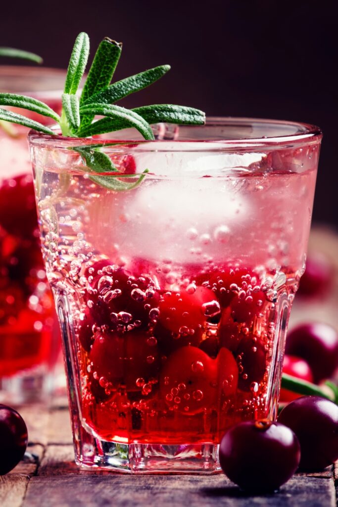 Boozy Cranberry Gin Cocktail