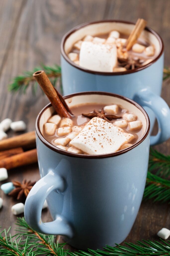 Hot chocolate drizzled with cinnamon and marshmallows