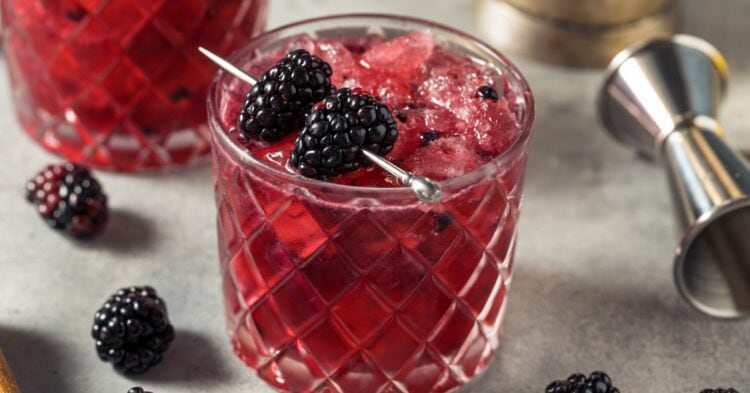 10 Best Sloe Gin Cocktails To Try At Home Insanely Good