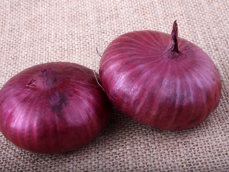 Cipollini onions