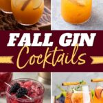 Fall Gin Cocktails