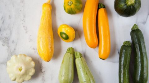 Fresh Organic Various Types of Squash