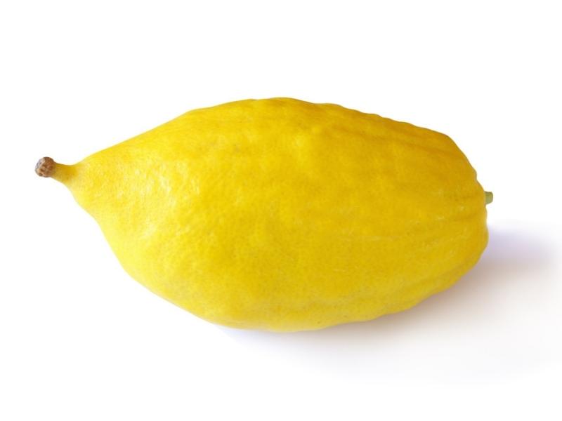 Greek Citron Lemon