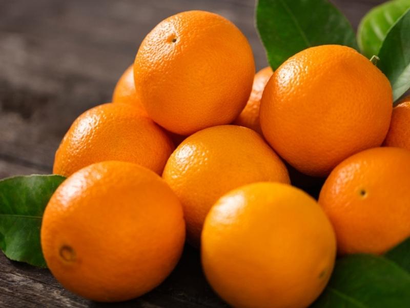 Hamlin Oranges