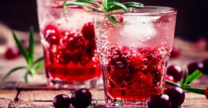 Homemade Boozy Cranberry Gin Cocktail